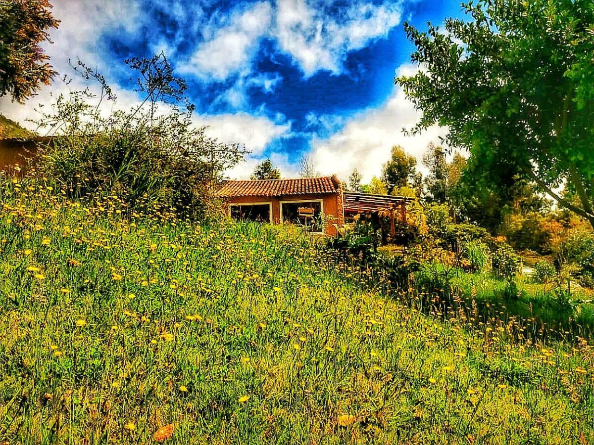 The Naked House - Hotel Nudista Nemocon Exterior foto